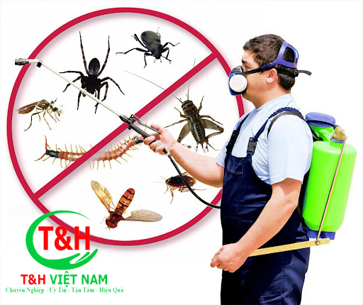 Kiểm soát côn trùng - Công Ty Cổ Phần Dịch Vụ T&H Việt Nam